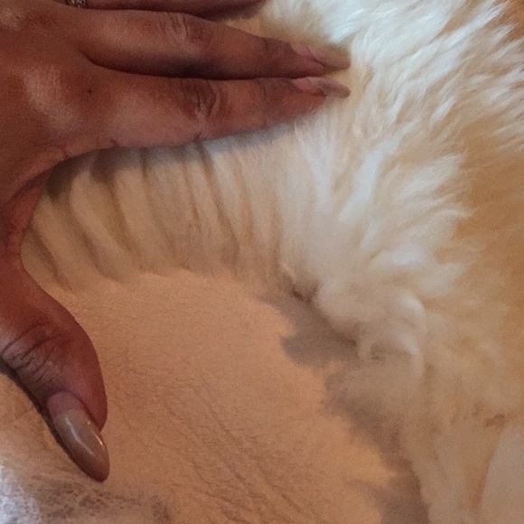 Genuine and Authentic alpaca fur rugs - Picture 7 of 8